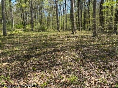 /international/us/main-street-montrose-wv-110107510559/