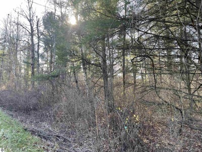 /international/us/plank-road-tawas-city-mi-110096688983/?lang=en