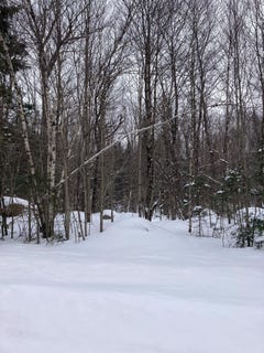 /international/us/walkerville-road-north-bangor-ny-110105111084/