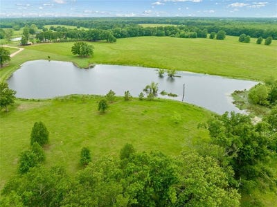 /international/us/1299-county-road-16590-pattonville-tx-110099824266/