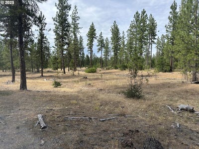 /international/us/3-greyback-mt-rd-goldendale-wa-110102692720/