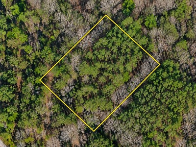 /international/us/beulah-rd-lake-city-sc-110110231102/