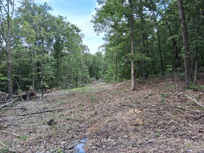/international/us/tbd-county-road-350-dora-mo-110100300884/