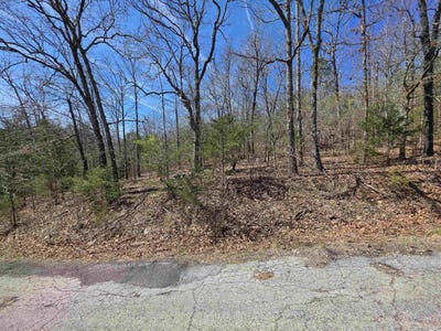 /international/us/l-39-b-10-iroquois-drive-cherokee-village-ar-110110297540/