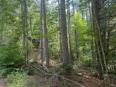 /international/us/lot-6-baker-lane-hiawassee-ga-110100807946/?lang=zh-tw