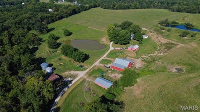 /international/us/399-brinker-trail-washington-mo-110102928915/