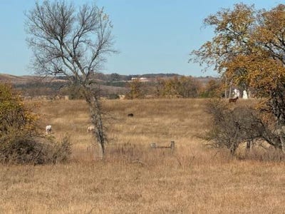/international/us/60-acres-gibbs-twp-bismarck-nd-110107480581/