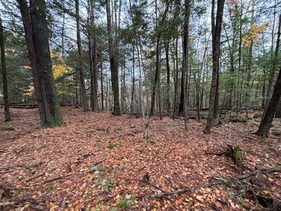 /international/us/00-concord-road-keene-nh-110105283383/