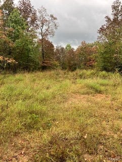 /international/us/43-madison-cr-410-fredericktown-mo-110094589511/