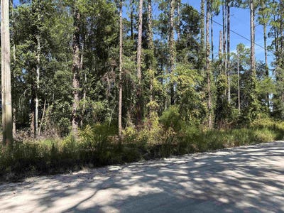 /international/us/0000-vacant-walker-springs-rd-monticello-fl-110110281353/