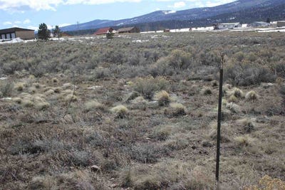 /international/us/lot-7-touch-me-not-estates-angel-fire-nm-110052778434/