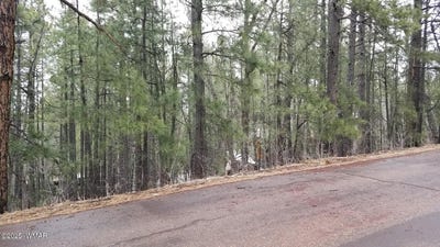 /international/us/6166-paradise-pine-lane-pinetop-az-110101023314/?lang=en