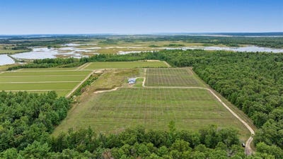 /international/us/n4085-cranberry-rd-warrens-wi-110110329506/