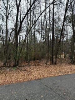 /international/us/pine-ridge-drive-troy-al-110097323916/