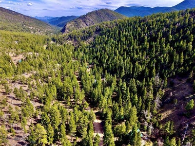 /international/us/3925-little-wolf-creek-road-wolf-creek-mt-110105641640/
