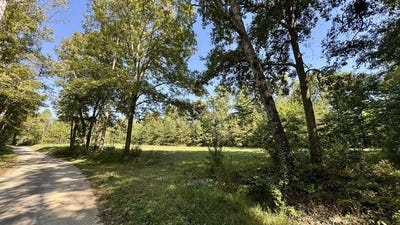 /international/us/187-high-point-rd-deer-lodge-tn-110120114338/