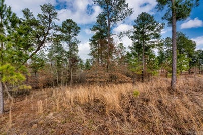 /international/us/19-lookout-lane-kirby-ar-110107854513/
