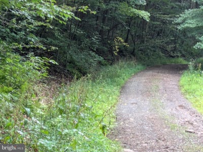 /international/us/0-berkey-hollow-road-alum-bank-pa-110100568749/