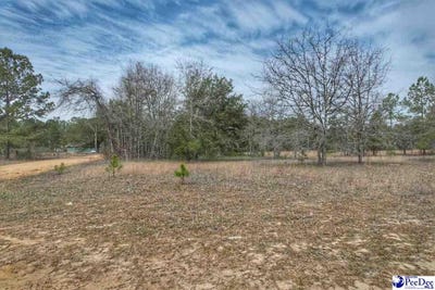 /international/us/tbd-ozelma-drive-dillon-sc-110107400621/