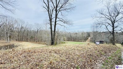 /international/us/425-macedonia-road-falls-of-rough-ky-110106552467/