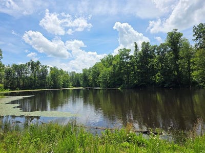 /international/us/1239-morris-creek-road-cullen-va-110100197352/