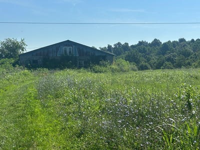 /international/us/tracts-16-17-18-19-22-23-statham-rd-liberty-ky-110101120340/