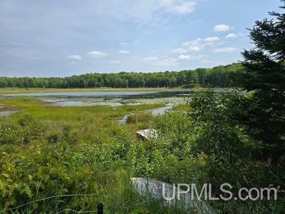 /international/us/n14219-newberg-channing-mi-110101506242/?lang=zh-tw