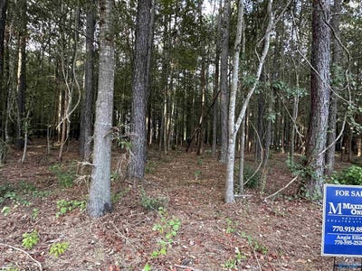 /international/us/24-county-road-1011-centre-al-110120052619/