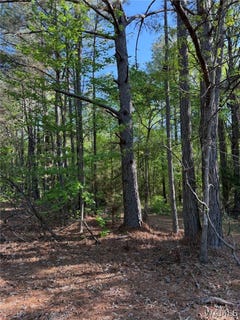 /international/us/1-old-highway-18-vernon-al-110107938832/