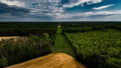 /international/us/0-county-road-87-new-albany-ms-110107504185/