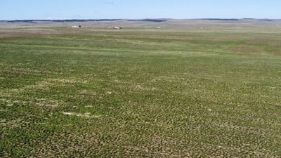 /international/us/5-county-rd-125-deer-trail-co-110098433196/