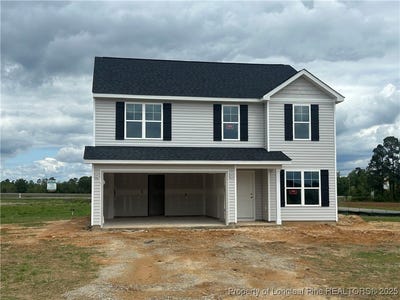 /international/us/20-buggy-top-lot-30-lane-autryville-nc-110098243066/