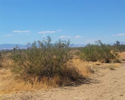 /international/us/adelanto-ca-110110421830/