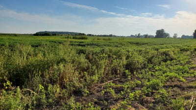 /international/us/n-county-road-200-w-rensselaer-in-110110010121/
