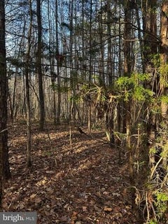 /international/us/bagwell-drive-scottsburg-va-110106525393/