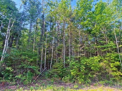 /international/us/342-343-northland-heights-drive-presque-isle-mi-110100947086/