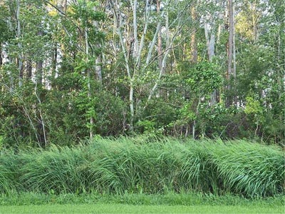 /international/us/104-spindrift-trail-elizabeth-city-nc-110100878460/