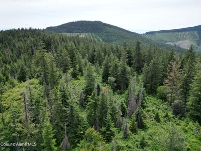 /international/us/nka-initial-peak-rd-cataldo-id-110107205107/