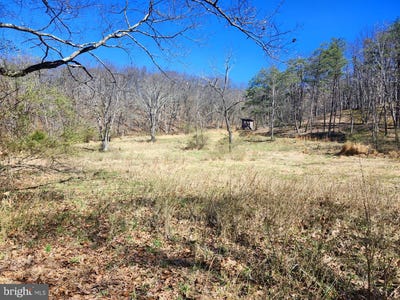 /international/us/a-j-kelley-rd-purgitsville-wv-110107163380/