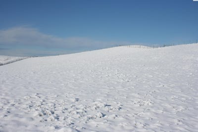 /international/us/1283-kitzmiller-pullman-wa-110105860111/