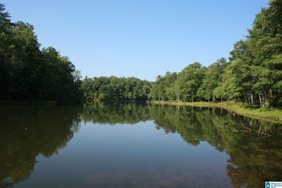 /international/us/1321-pine-mountain-trail-lot-4-westover-al-110108498050/