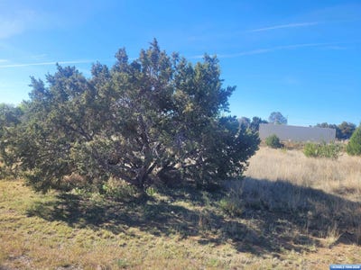 /international/us/2998-pinos-altos-road-silver-city-nm-110107535569/