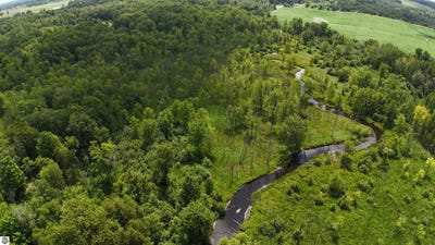 /international/us/11235-w-rosebush-road-weidman-mi-110100837837/