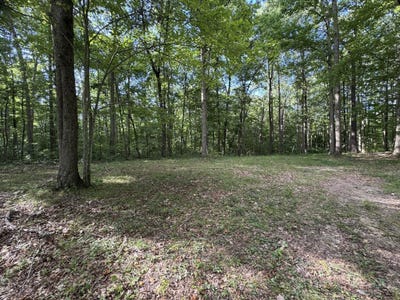 /international/us/227-hawk-branch-lane-columbia-ky-110101191076/