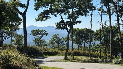 /international/us/tbd-lot-8-chappell-farm-road-banner-elk-nc-110110405539/