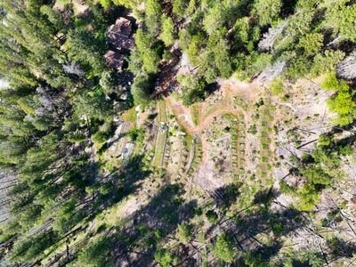 /international/us/401-vitzthum-gulch-rd-douglas-city-ca-110101526896/