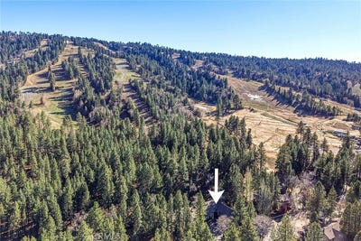/international/us/41935-switzerland-big-bear-lake-ca-110107039424/