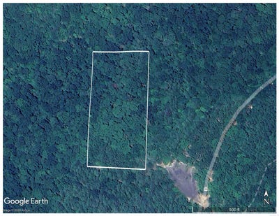 /international/us/000-fs-1548-forest-pettigrew-ar-110100850496/