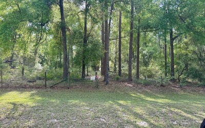 /international/us/lot47-127th-road-obrien-fl-110106988112/