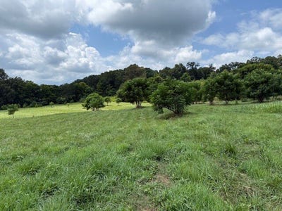 /international/us/11311-alabama-hwy-9-cedar-bluff-al-110101152378/?lang=de